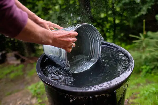 पशु आहार में पानी की आवश्यकता